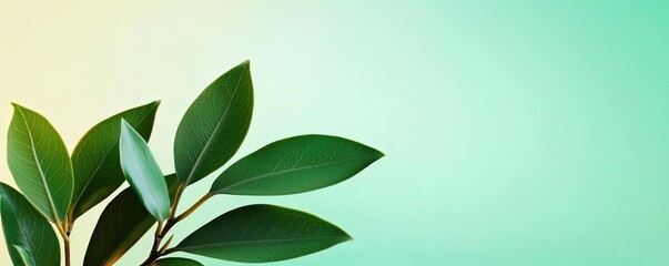 Pastel spring idea. A close-up view of vibrant green leaves against a soft gradient background.