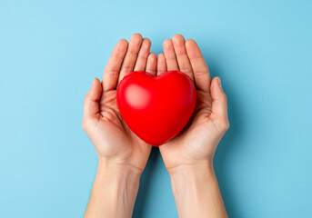 Obraz premium Heart between hands. Hands hold a heart