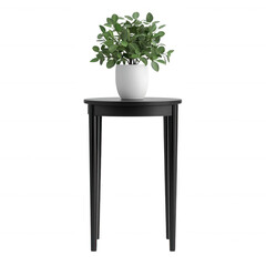 A stylish black table with a potted plant, enhancing modern home aesthetics.