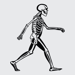 Human -skeleton  image silhouette vector art and illustration