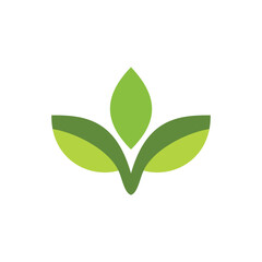 green leaf isolated on white background