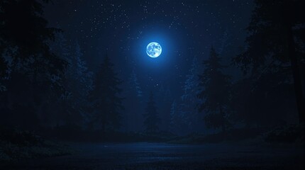 Dark forest at night with stars and moonlight, natural light, nighttime, stars