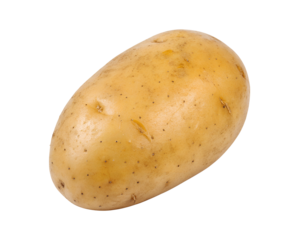 Fresh potato isolated on a clean white background, perfect for cutout images with transparent background for use in food, cooking, and product photography