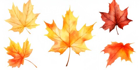 Fototapeta premium Watercolor Set of Maple Autumn Leaves Isolated on White Background