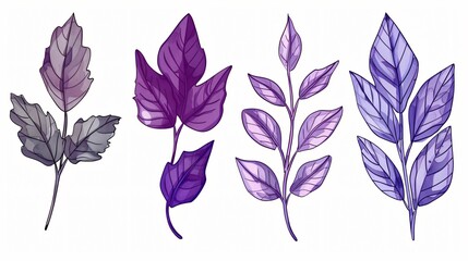 Elegant Hand-Drawn Vector Leaves on White Background for Design Projects