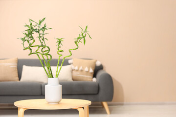 Decorative bamboo plant in vase on table indoors. Space for text