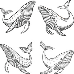 Blue whale bundle line art and illustrator eps