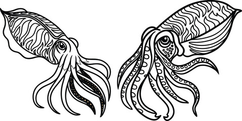 Obraz premium Squid bundle line art and illustrator eps