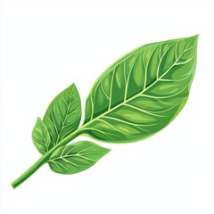 Obraz premium Fresh Green Leaf Isolated on White Background Perfect for Natural Design Projects