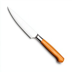 Fototapeta premium Professional Kitchen Knife with Sharp Blade and Elegant Orange Wooden Handle