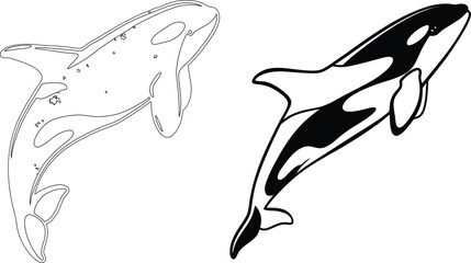 Dolfin bundle line art and illustrator eps