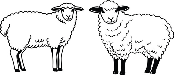 Sheep bundle line art and illustrator eps