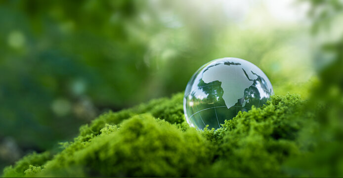 Environmental concept - Crystal globe on green moss in forest to protect nature. Eco-friendly esg conservation care for the earth for sustainability keep the earth clean and ecology. Earth Day