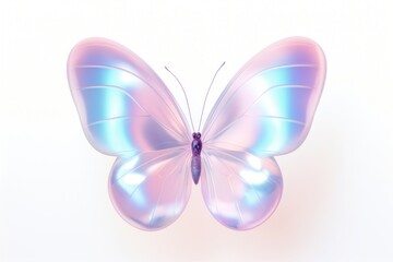 Butterfly animal white background accessories