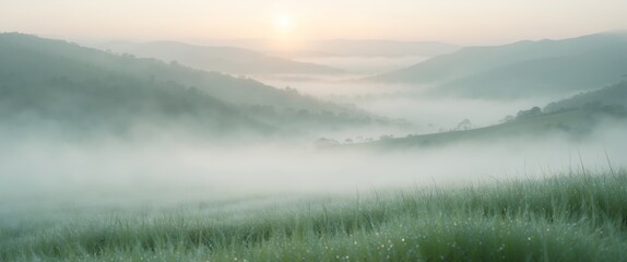 Fototapeta premium Tranquil dawn scenery with misty valley view and dewy grass.