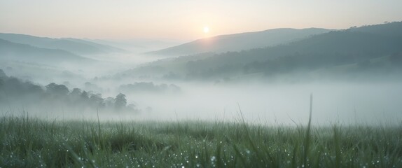 Fototapeta premium Tranquil dawn scenery with misty valley view and dewy grass