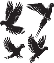 set of quaker parrot flying poses,, flying bird poses, bird flight illustration, black and white quaker parrot,