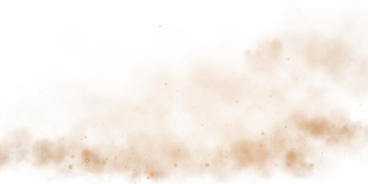 Sandy-smoke clouds with dust and fine particles. Dune, sand storm, clusters of powder. Realistic vector illustration of desert storm - flying saw dust with small dirt particles under the influence