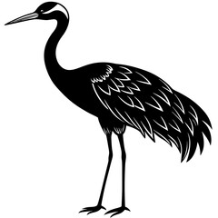 Crane Silhouette vector with white background