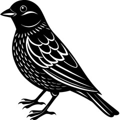 Passerine Silhouette vector with white background