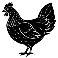 Chicken Silhouette vector with white background