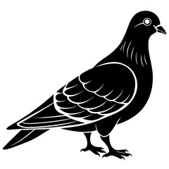 Columbidae Silhouette vector with white background
