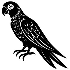 Parrot Silhouette vector with white background