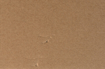 Paper with teared hole