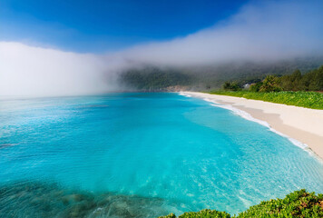 Obraz premium 海岸の背景画像３