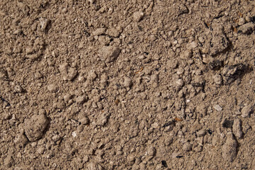 Ash from burnt wood. Background, texture