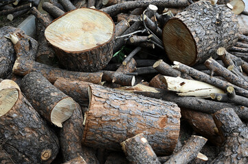 tree branches, cut and cleaned tree branches for burning in stoves and fireplaces, cut tree trunks, stove and fireplace wood