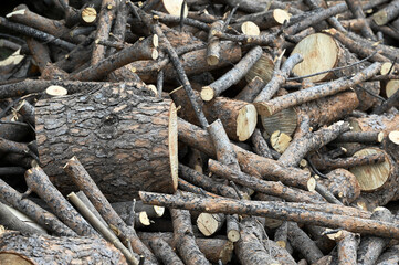 tree branches, cut and cleaned tree branches for burning in stoves and fireplaces, cut tree trunks, stove and fireplace wood