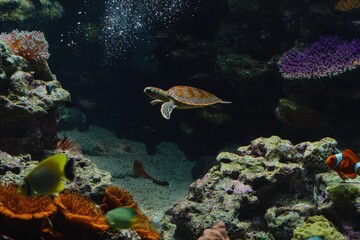 A colorful coral reef teeming with marine life, including clownfish, sea turtles, and vibrant corals.