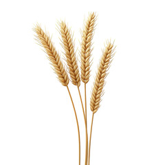 four golden wheat stalks arranged elegantly against a white background. symbolizing agriculture. harvest. and natural beauty the clean presentation emphasizes the importance of wheat as a staple food