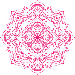 Beautiful flower art and mandala vector design