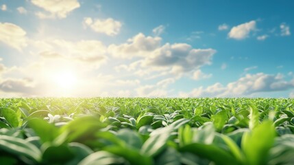 Sunkissed leaves, a breathtaking landscape of vibrant green in nature's embrace