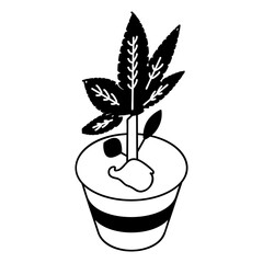 Hemp Plant isometric vector icon,Cannabis and marijuana symbol, cannabinoids sign, healthcare Herb illustration, blackish-gray mixture of the flowers pot concept