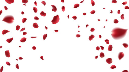 February 14 Valentine's day,Rose petals wedding or marriage background. holiday decoration. Invitation card, celebration party design