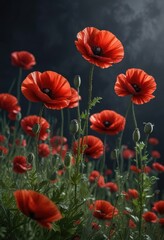 Obraz premium A majestic array of red poppy flowers against a dark and dramatic background, poppy field, autumnal landscape, flower meadow