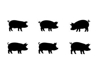 Pig silhouette. Pig silhouette on a white background.