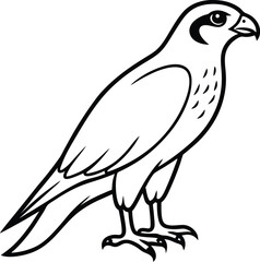 Fototapeta premium A falcon calligraphy line art silhouette