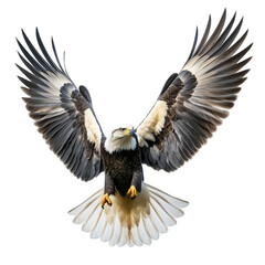 Naklejka premium majestic eagle in mid-flight. showcasing its impressive wingspan and detailed plumage against a clean. white background the eagle's sharp eyes and powerful build emphasize its status as a symbol of st