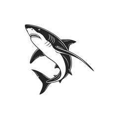Great shark on white background