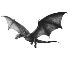 Fototapeta premium silhouette of dragon on white