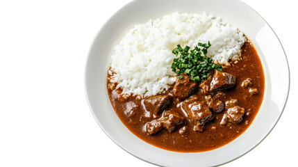 a delicious serving of beef curry accompanied by fluffy white rice. garnished with chopped green onions the dish is presented in a round white bowl. highlighting the rich brown color of the curry and