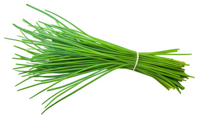 a fresh bunch of chives. a type of herb characterized by its long. thin green stalks chives are commonly used in cooking for their mild onion flavor. enhancing various dishes such as salads. soups. an