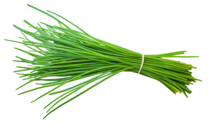 a fresh bunch of chives. a type of herb characterized by its long. thin green stalks chives are commonly used in cooking for their mild onion flavor. enhancing various dishes such as salads. soups. an