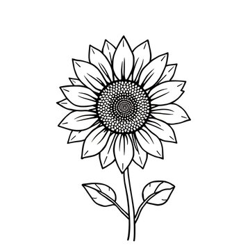 recommend clip art: Elegant Black and White Sunflower Line Art Illustration Botanical Floral Design Element Nature