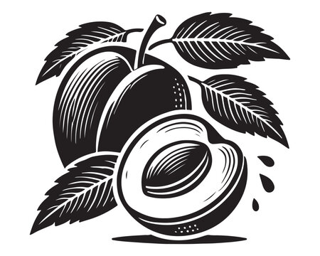 black and white plum fruit with leaves clip art preview