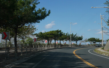 カーブの標識がある道路